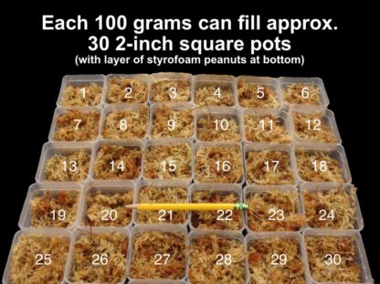 New Zealand Sphagnum Moss 100-grams/3.5 oz dehydrated just add water excellent medium for many orchids and carnivorous plants - Image 6