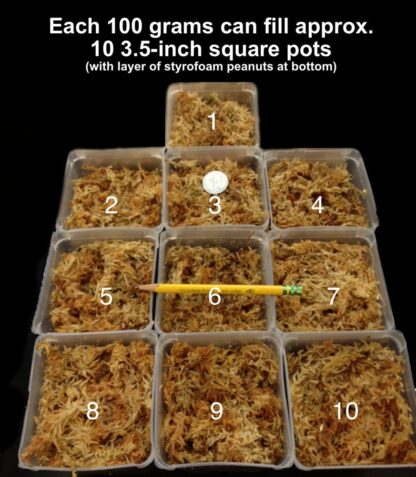 New Zealand Sphagnum Moss 100-grams/3.5 oz dehydrated just add water excellent medium for many orchids and carnivorous plants - Image 7